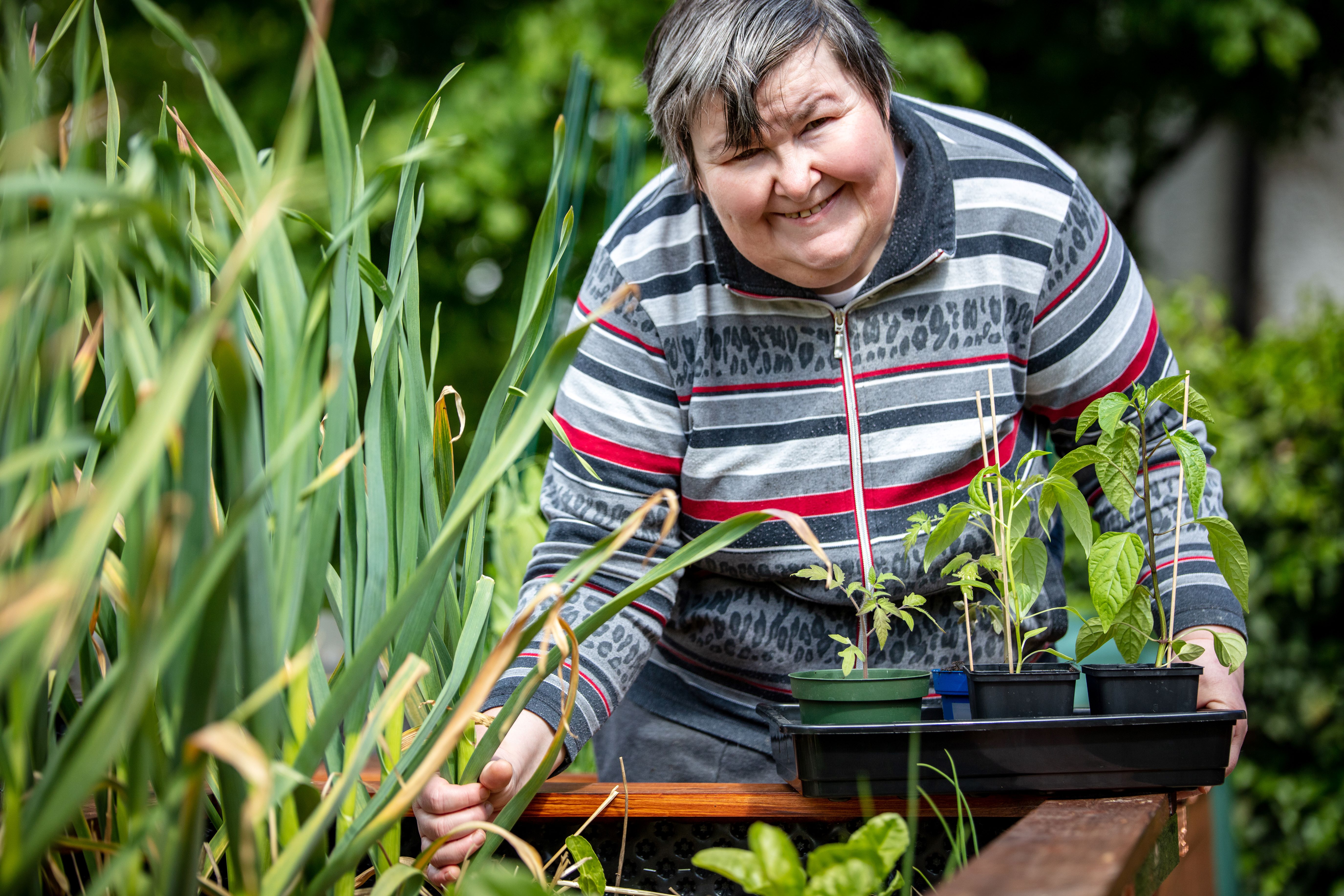 Course Image for T24DC1765 Countryside Skills for Adults with Learning Disabilities