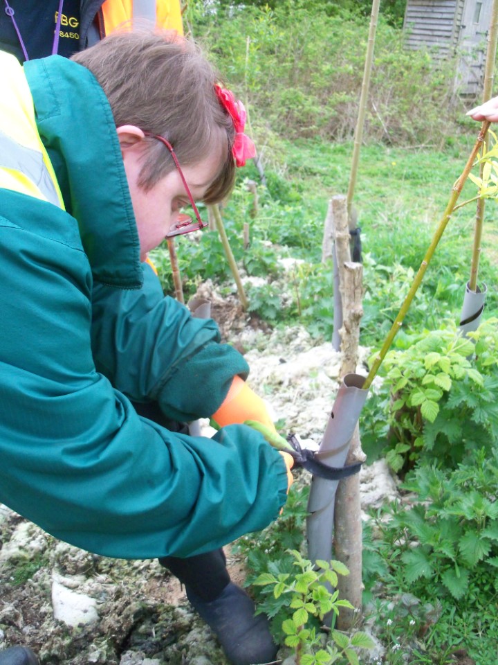 Course Image for T24DC1788 Woodland skills course for adults with learning disabilities