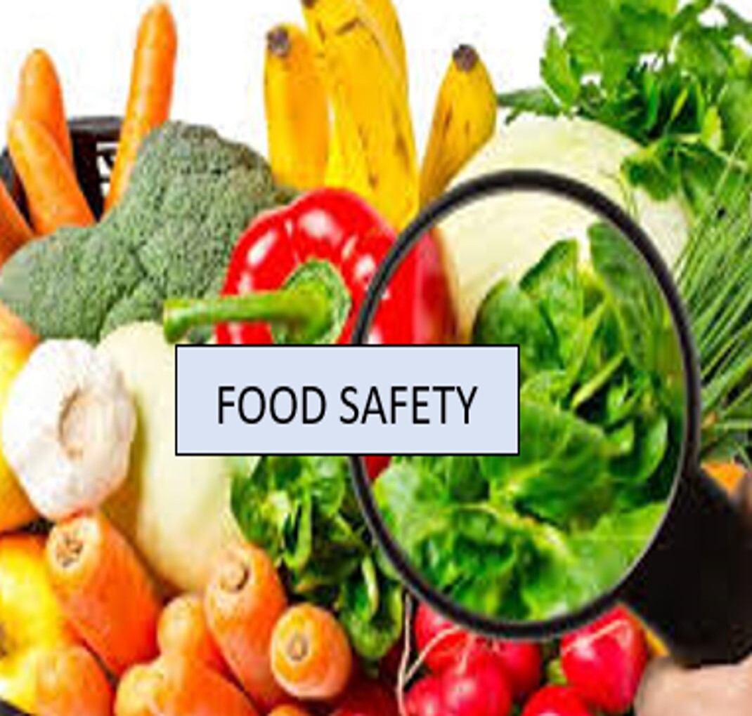 Course Image for M24BB1997 Multiply - Food Safety Level 2