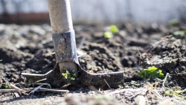 Course Image for T24NC2204 Supported learning - gardening for wellbeing