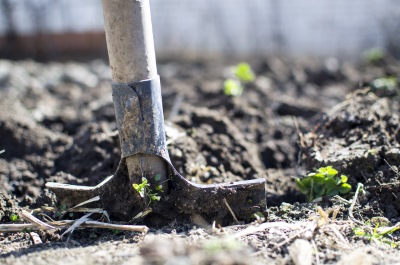 Course Image for T24NC2207 Supported learning - gardening for wellbeing