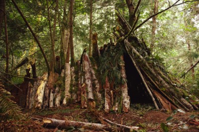 Course Image for T24DC3641 Bushcraft and outdoor skills FREE taster