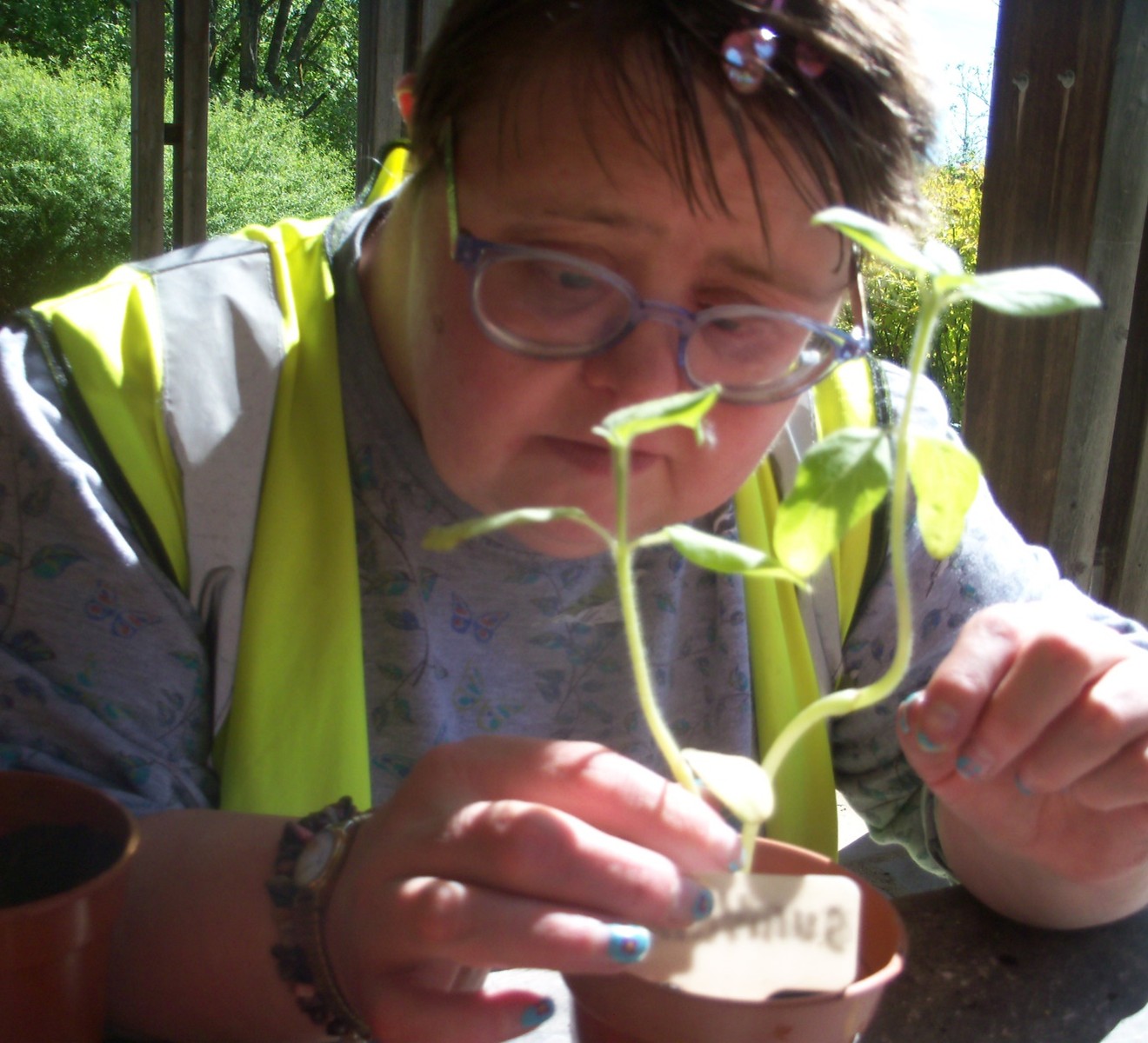 Course Image for T25CQ1038 Supported learning forest fun