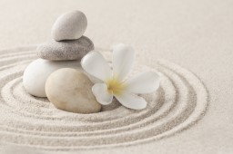 Course Image for T25CQ3482 Working in Complementary Therapy