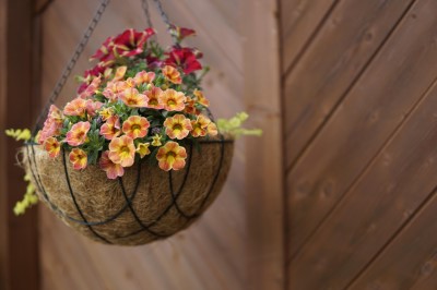 Course Image for T25CQ2613 Gardening for Enterprise - turn your passion into a business opportunity