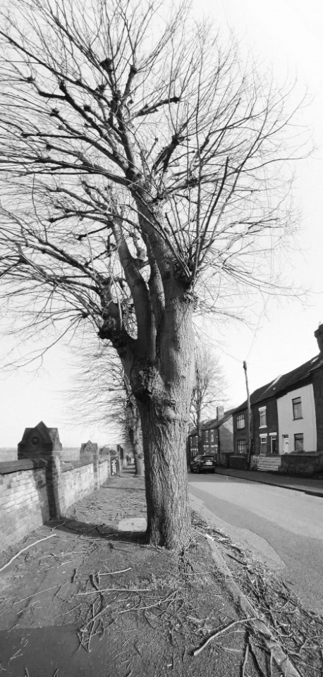 Course Image for T25EH3638 Boost your wellbeing through photography