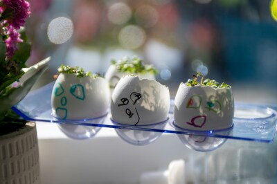 Course Image for T25EH3755 Family fun* - Cress heads