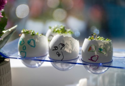 Course Image for T25BB3777 Family fun* - Cress heads