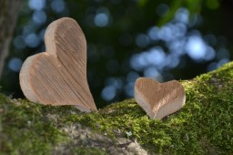 Course Image for T26CQ1816 Family Fun - natural crafts