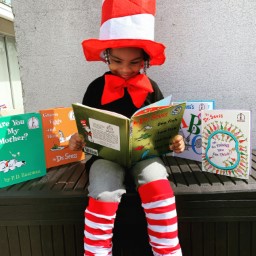 Course Image for T25EH3852 Play and explore - Story sacks