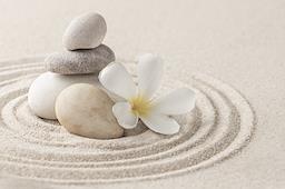Course Image for T26CQ1946 Working in Complementary Therapy