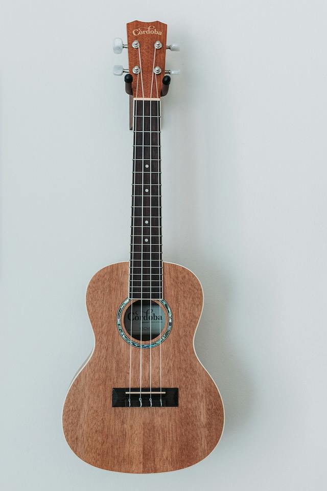 Course Image for T26EH1082 Brightside - learn to play the ukulele