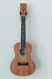 Course Image for T26EH1246 Brightside Creative Taster - Ukulele