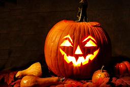 Course Image for T26HG1098 Family Fun - Pumpkin Carving