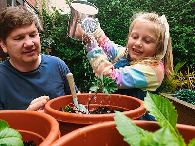 Course Image for T26EH1321 Play and explore - Grow to eat
