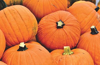 Course Image for T26BB1296 Waste Not, Want Not: Cooking with Pumpkin Leftovers